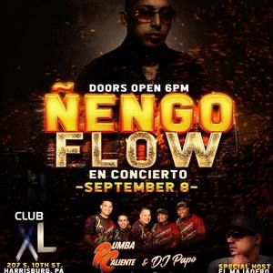 Meet your Posher, Lino